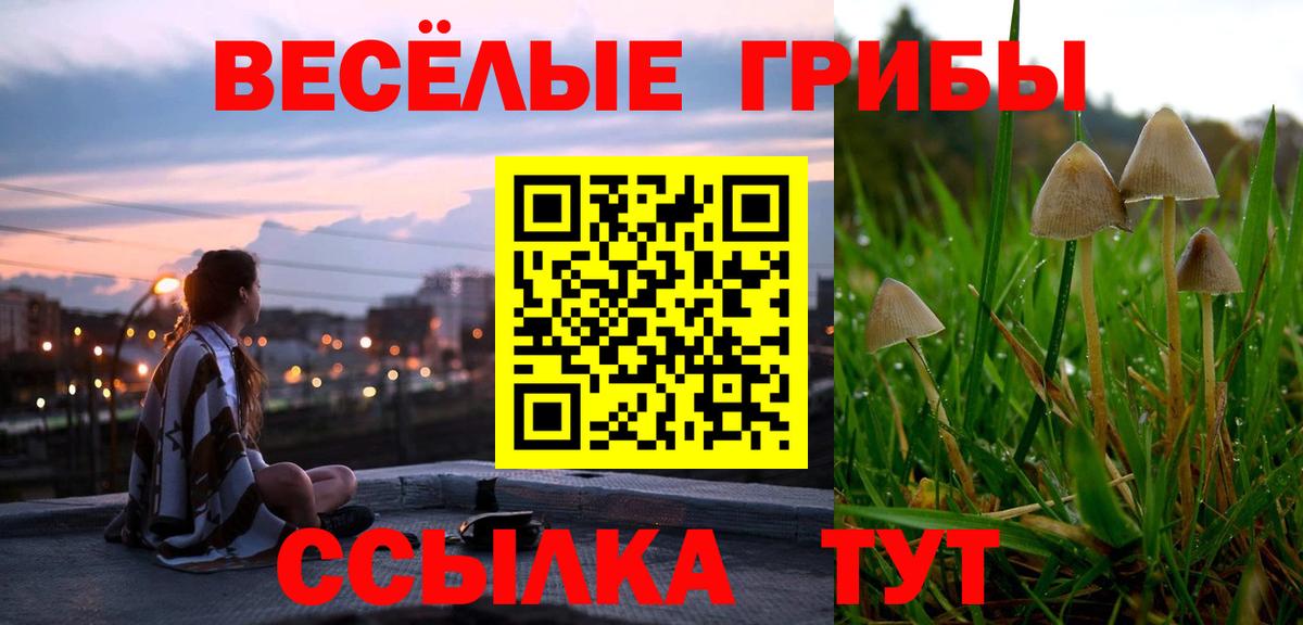 Галлюциногенные грибы GOLDEN TEACHER Клин